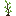 /blocky_portaling/player_api/raw/commit/c3f3406e8ee0a4c8523863a4b69ecda7c2be48b2/mods/default/textures/default_aspen_sapling.png