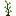 /blocky_portaling/player_api/raw/commit/e7a55734d3de051d6565ebe28a9dd53043f9b352/mods/default/textures/default_aspen_sapling.png